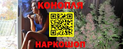 крисы Аша