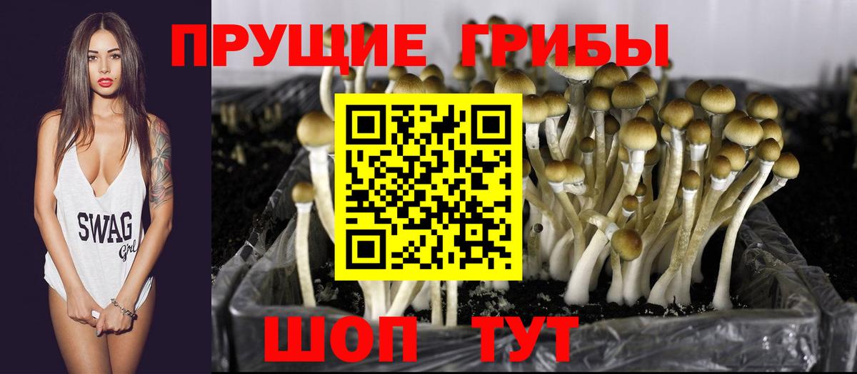 Псилоцибиновые грибы Cubensis  Вход с VPN  Алейск  Галлюциногенные грибы прущие грибы 